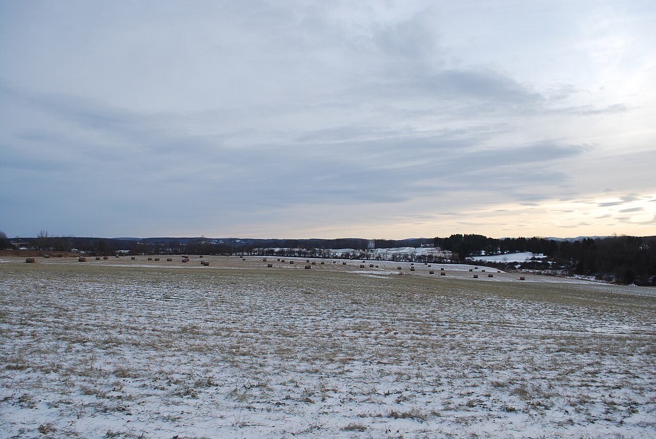 Hay bales in an open field at sunset