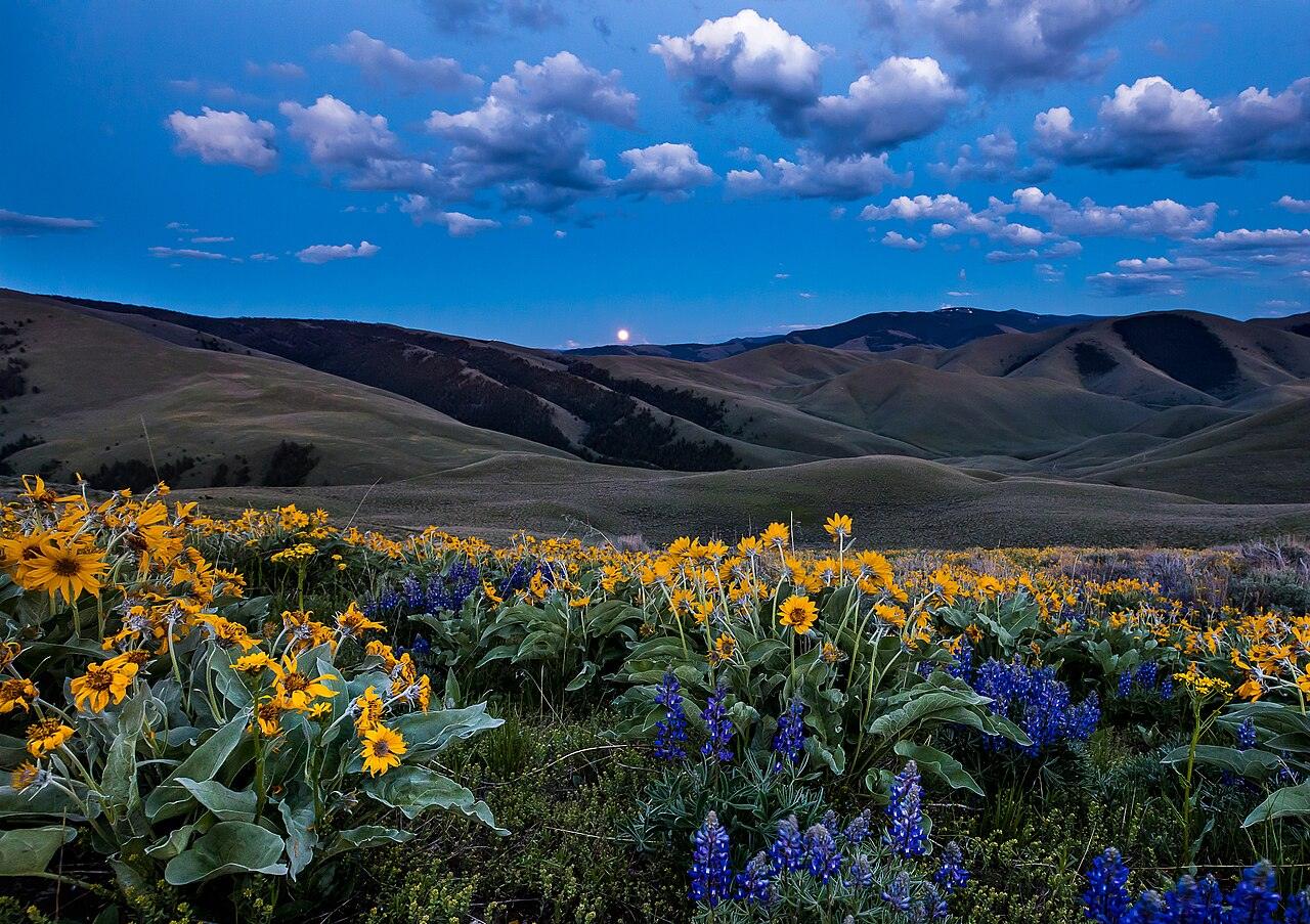 Moonrise over mountain country